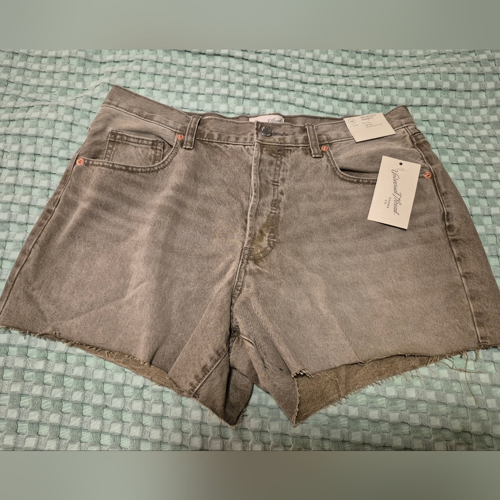 Universal Thread 90s Baggy Shorts